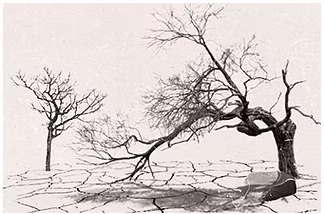 TFF-Section1-01-Image-05.jpg