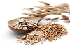 TFF05-Section5-Image20.png