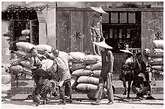 TFF-Section1-01-Image-06.jpg