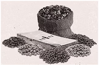 The Future Food | Old Recipe | Mao Feng Granary | Recipe acquired