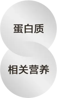 蛋白质、相关营养