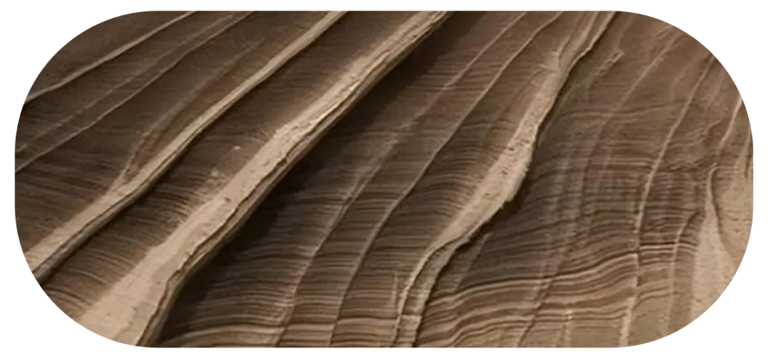 Close-up of layered brown texture