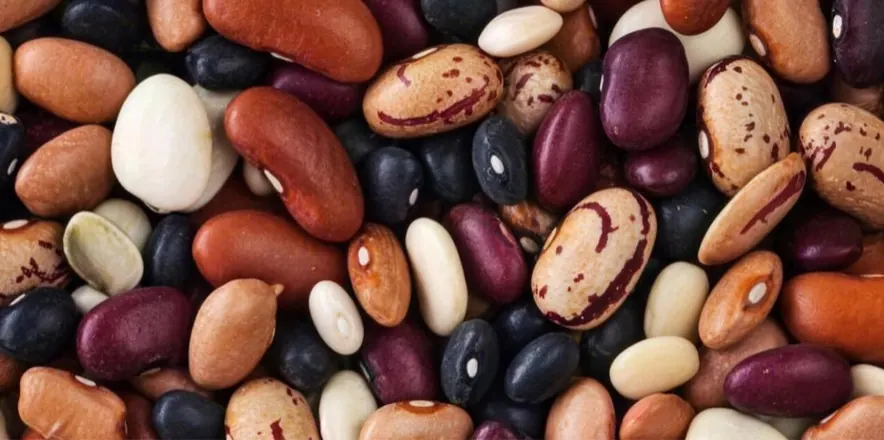 Assorted legumes: kidney beans, black beans, chickpeas and more