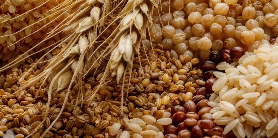 Ears of wheat and assorted grains