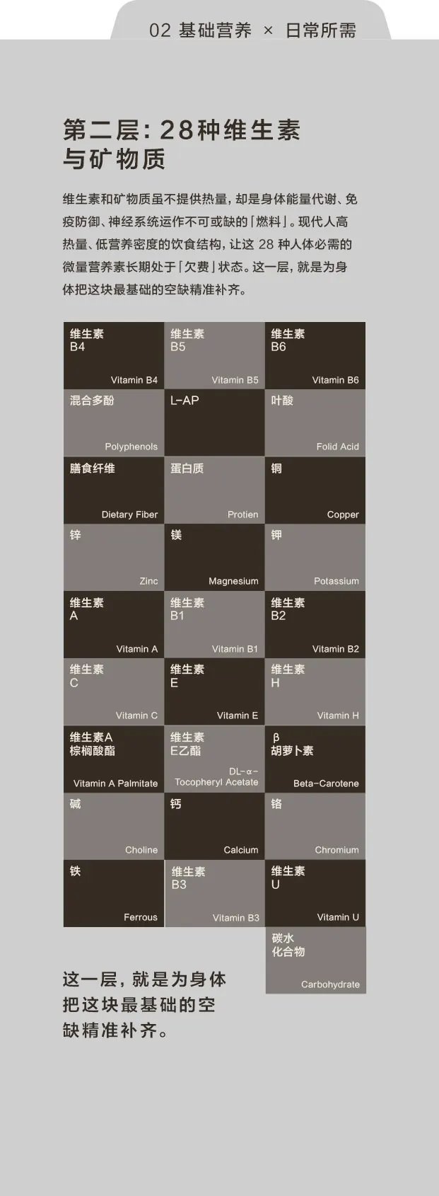 第二层:28种维生素与矿物质,为身体补齐最基础的空缺营养