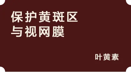 保护黄斑区与视网膜:叶黄素