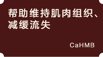 帮助维持肌肉组织、减缓流失:CaHMB