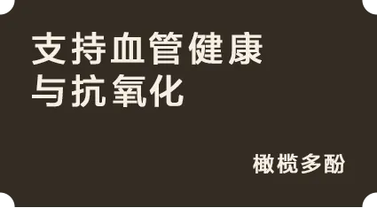 支持血管健康与抗氧化:橄榄多酚