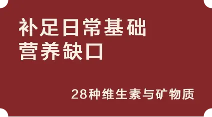 补足日常基础营养缺口:28种维生素与矿物质