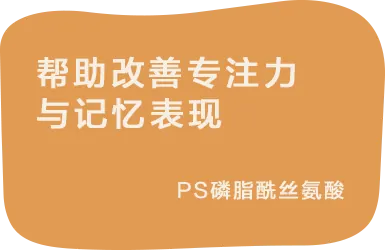 帮助改善专注力与记忆表现:PS磷脂酰丝氨酸