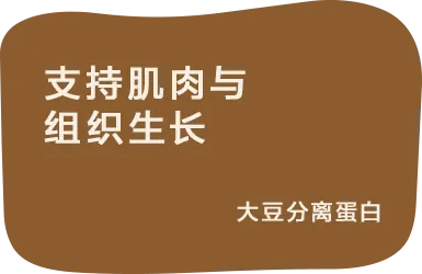 支持肌肉与组织生长:大豆分离蛋白