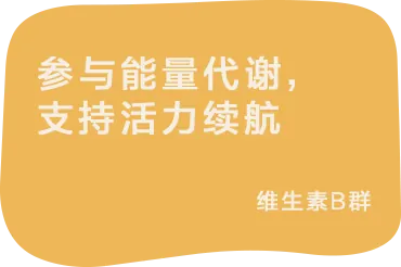 参与能量代谢,支持活力续航:维生素B群