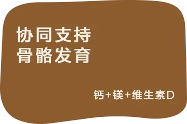 协同支持骨骼发育:钙+镁+维生素D