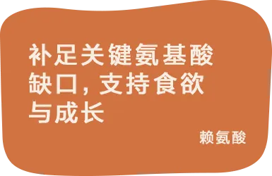 补足关键氨基酸缺口,支持食欲与成长:赖氨酸