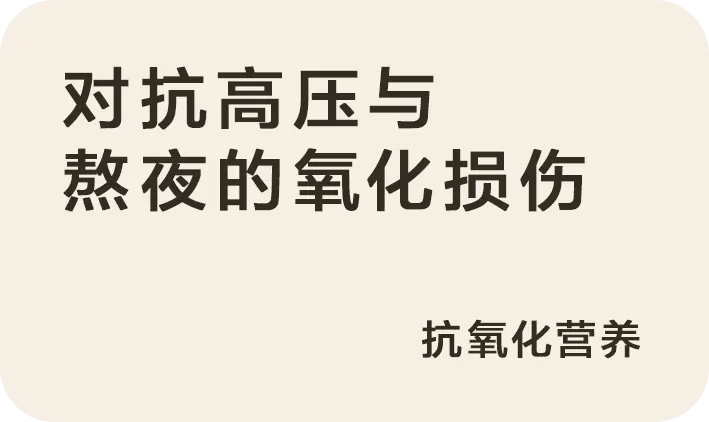 对抗高压与熬夜的氧化损伤:抗氧化营养