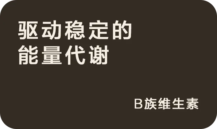 驱动稳定的能量代谢:B族维生素