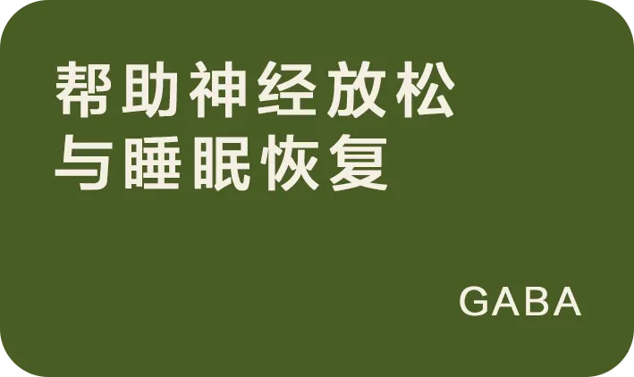 帮助神经放松与睡眠恢复:GABA