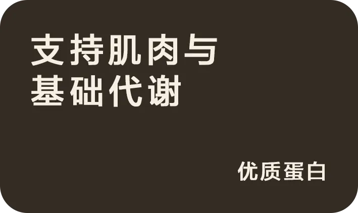支持肌肉与基础代谢:优质蛋白